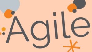 Since 2013 we work in agil teams.