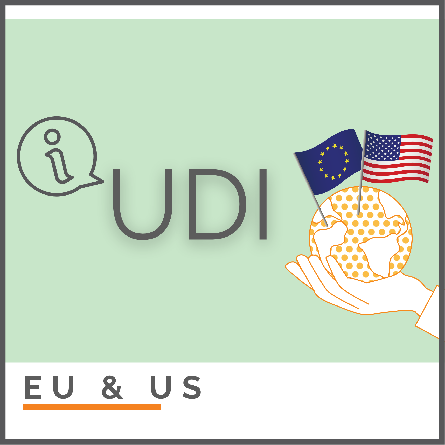 UDI Unterschiede in EU & US