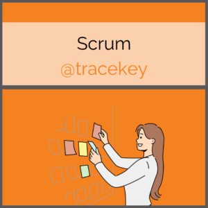 Scrum at tracekey solutions. A week in the life of our scrum master/Eine Woche im Leben unserer Scrum Masterin.