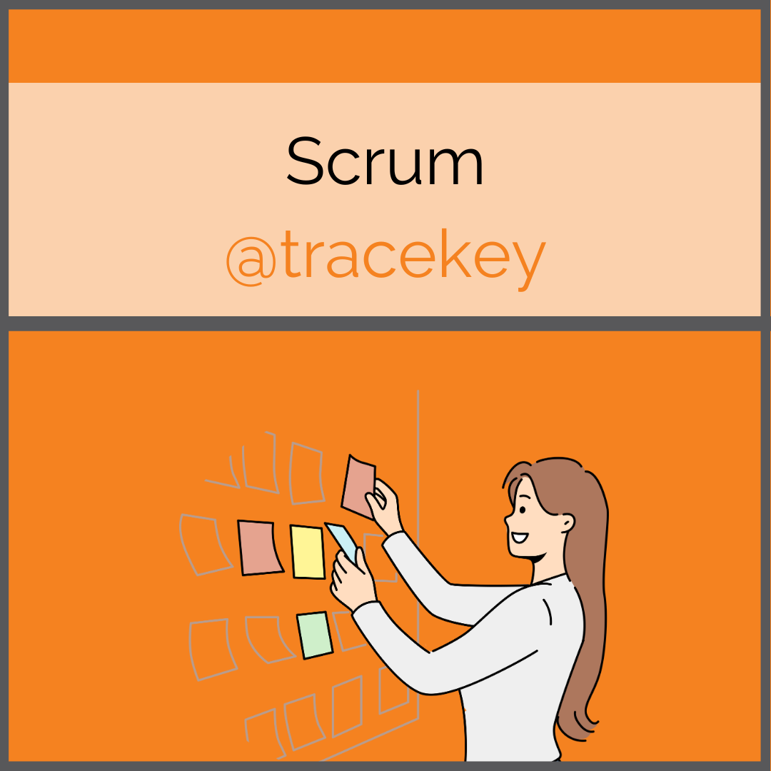 Scrum at tracekey solutions. A week in the life of our scrum master/Eine Woche im Leben unserer Scrum Masterin.